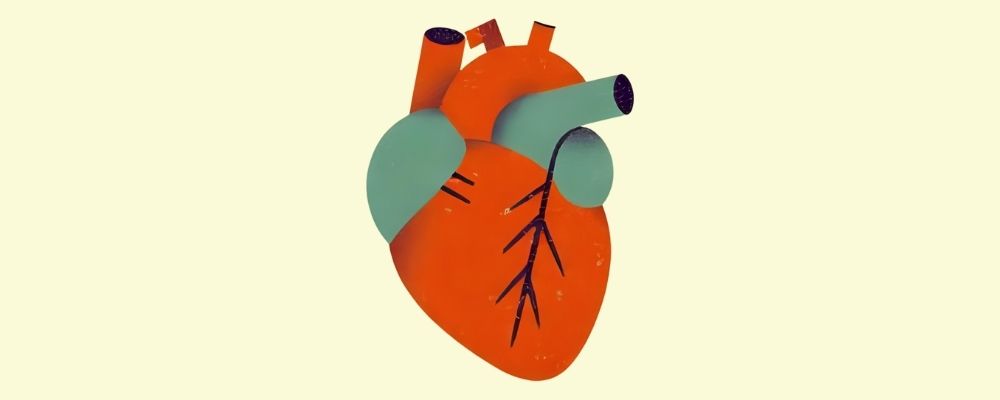 Kalp Krizi Belirtileri: Nedenleri ve Yapılması Gerekenler