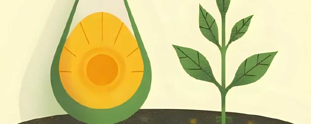 Evde Kolayca Hazırlayabileceğiniz 5 Doğal Bitki Gübre Tarifi